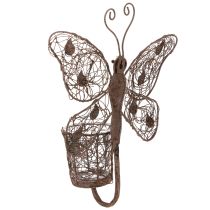 Article Lanterne en métal, décoration murale, papillon, finition rouille, 36,5 cm