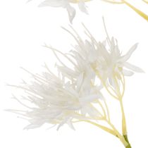 Article Branche de fleur artificielle pour un intérieur moderne et une décoration élégante, 75 cm
