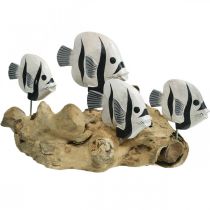 Déco poisson debout pied bois racine déco maritime 38cm
