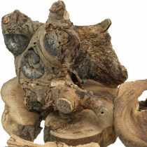 Racine bois déco bois morceaux de bois décor épars 3-10cm 500g