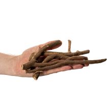 Article Décorations en bois naturel séché 18 cm 500 g