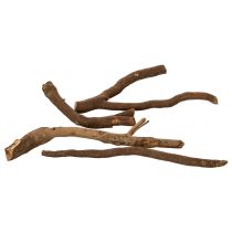 Article Décorations en bois naturel séché 18 cm 500 g