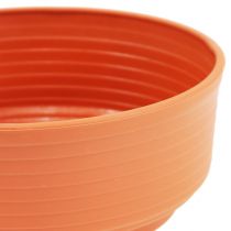 Article Bol en Z en plastique Ø 16 cm - 22 cm, 10 pièces