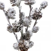 Branche de cône de branches de Noël Snowed 30cm 5pcs en bouquet
