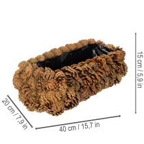Article Caisse rectangulaire en pommes de pin pour plantation 40 cm
