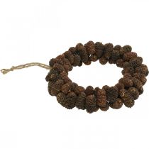 Article Couronne de cône aulne couronne de cône porte couronne nature Ø20cm