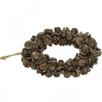 Article Couronne de cône couronne de cône de cyprès couronne de porte nature Ø20cm