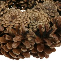 Article Couronne de pommes de pin basse Couronne plate Ø23cm