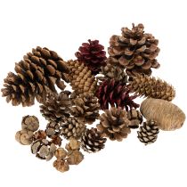 Article Mélange de Pommes de Pin Naturelles pour Décoration et DIY - 400 g