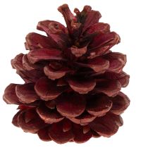 Article Mélange de pommes de pin naturelles pour décoration et bricolage 2 à 10 cm 400 g