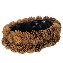 Article Pflanzschale en pommes de pin ovales 30cm nature