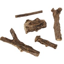 Article Des racines décoratives en bois enchanteresses pour votre maison