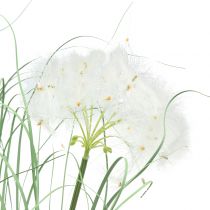Herbe ornementale aux graines blanches vert H73cm