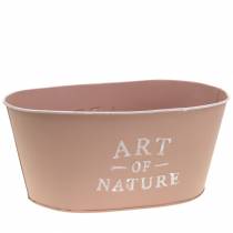 Article Jardinière ovale zinc vieux rose 27×18cm H12,5cm