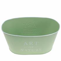 Article Coupe fleur ovale zinc vert menthe 27×18cm H12.5cm