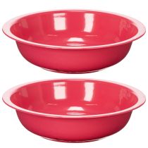 Article Pot de fleurs rond pour une décoration intérieure ou extérieure élégante, 29 cm, lot de 2