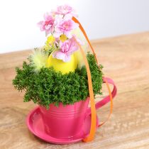 Article Pot de plantation avec soucoupe pour jardins créatifs, 11 cm, lot de 6