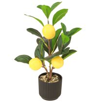Article Citronnier en pot Plante artificielle Déco méditerranéenne H28cm