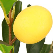 Article Citronnier en pot Plante artificielle Déco méditerranéenne H28cm