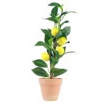 Article Citronnier en pot plante artificielle 42cm