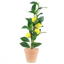 Article Citronnier en pot plante artificielle 42cm