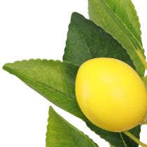 Article Citronnier artificiel citronnier en pot H40cm