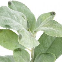 Article Plantes artificielles de sauge, feuilles de sauge, décoration florale, décoration de sauge, 68cm, 2 pièces