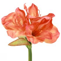 Article Amaryllis fleurs décoratives orange artificielles L55cm 2pcs