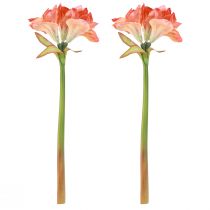 Article Amaryllis fleurs décoratives orange artificielles L55cm 2pcs