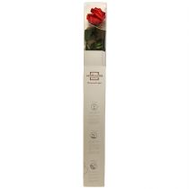 Article Rose Infinity Conservée Rouge avec Feuilles - 54 cm