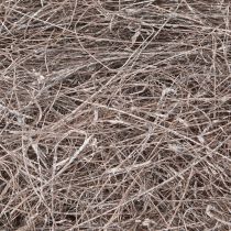 Article Fibres de palmier naturelles blanchies, 1 kg, pour la décoration et les loisirs créatifs.
