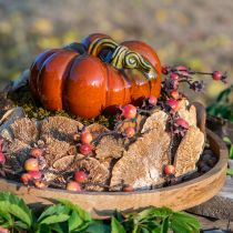 Article Éponge d&#39;arbre champignons décoratifs naturels séchés 6cm 1kg