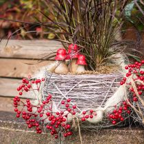 Article Brindilles Décoratives avec Baies Rouges Brillantes – Lot de 6 – 30 cm