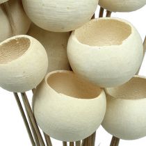 Bell Cup Mix blanchi sur bâton 15pcs