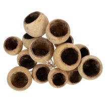 Article Lot de 15 Coupelles Naturelles sur Tige en Bois, Ø 4–5,5 cm