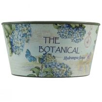 Article Jardinière hortensias bol à fleurs rond plastique Ø21cm H11cm