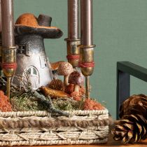 Article Bouchon de fleur bouchon décoratif champignon bois marron Ø2,5cm 8 pièces
