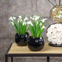 Article Pot de Fleur Oeuf en Céramique Noir Pot de Plante Noir Ø12cm 2pcs