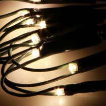 Article Filet lumineux extérieur guirlande lumineuse buis 60 LED Ø35cm