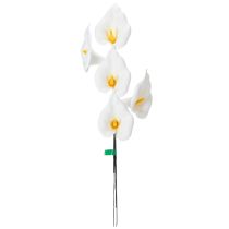 Article Arums sur fil de fer, petits, blancs, 50 pièces
