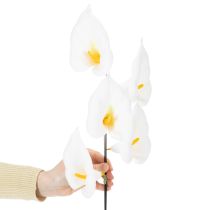 Article Arums sur fil de fer, petits, blancs, 50 pièces