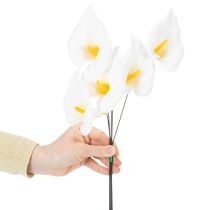 Article Arums, taille moyenne, sur fil de fer, 50 pièces
