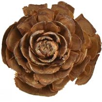 Article Cônes de cèdre découpés en forme de rose 4-6cm 50 pcs