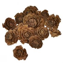 Article Cônes de cèdre découpés en forme de rose 4-6cm 50 pcs