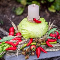 Article Piment rouge nourriture factice 9cm sur branche 3 pcs