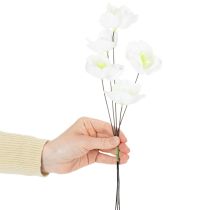 Article Rose de Noël sur fil de fer, blanche, 50 pièces