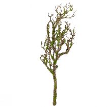 Article Branche décorative avec mousse artificielle décoration d'automne gris vert L78cm