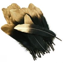 Article Plumes décoratives or noir véritables plumes d'oie 15-20cm 50pcs
