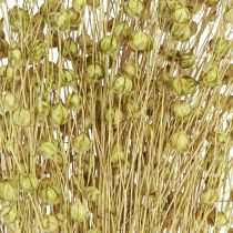 Article Déco Lin Fleurs Séchées Vert Olive 50g