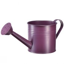 Article Arrosoir décoratif jardinière métal violet Ø13,5cm H12,5cm